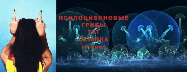 СК Армянск
