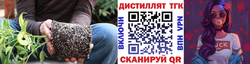 цены   Исилькуль  кракен ONION  Дистиллят ТГК гашишное масло 