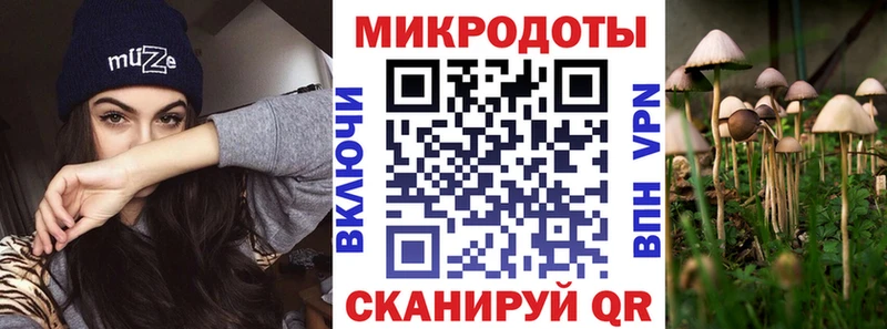 купить наркотик Исилькуль Галлюциногенные грибы Psilocybine cubensis